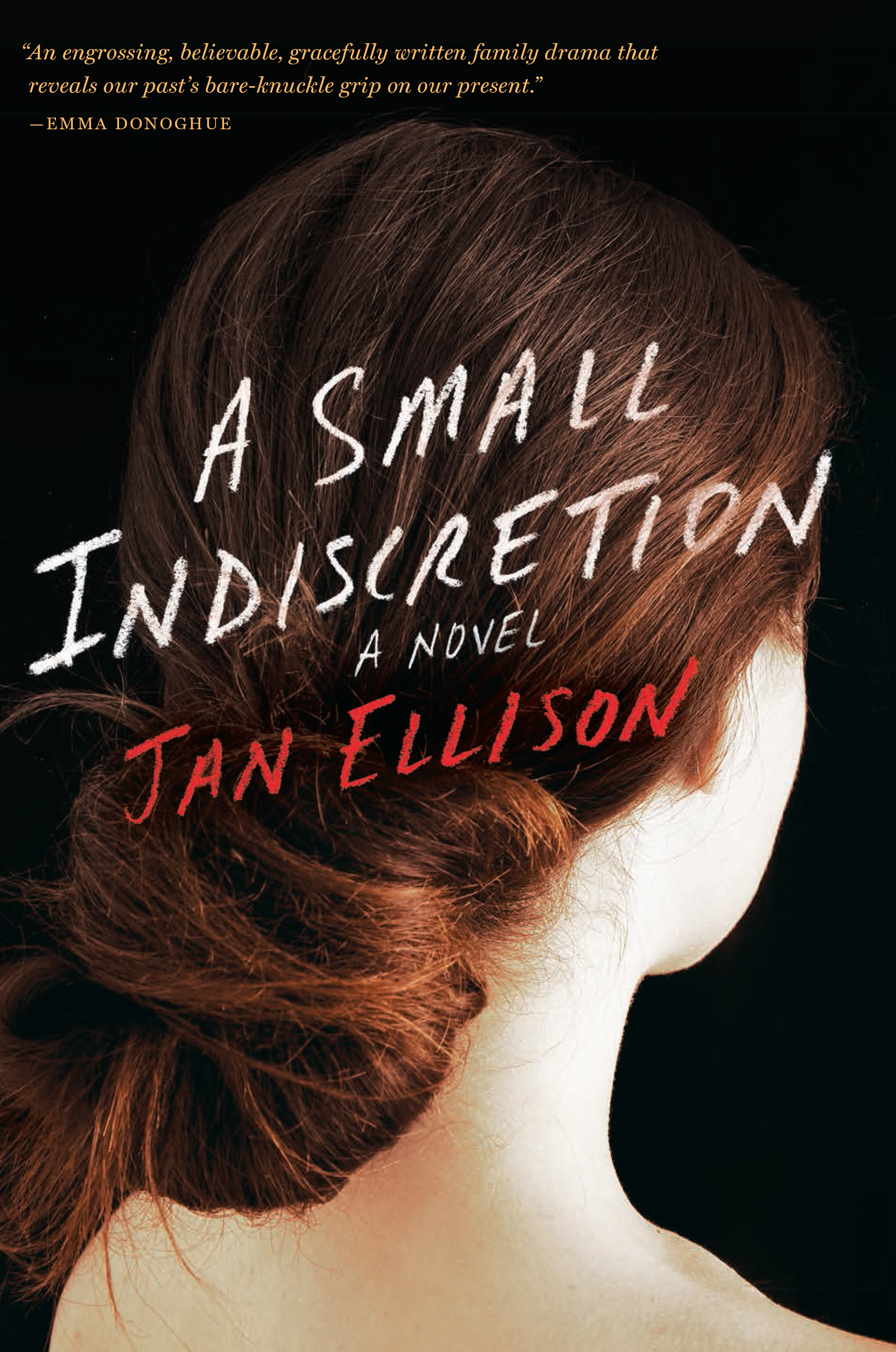 A Small Indiscretion hardcover by Jan Ellison Baszucki